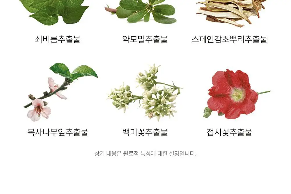 [1등속눈썹영양제] 마르시끄 속눈썹 영양제 5종 중 택1 상세페이지 39